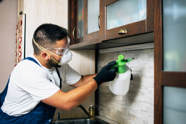 Best Emergency Pest Control  in Augusta, KY