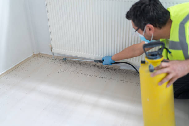 Best Commercial Pest Control Services  in Augusta, KY